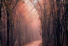 世界杯外围官网 -浪潮数據(jù)申请索引恢复方(fāng)法专利，减少系统不可用(yòng)時(shí)间