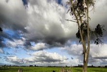 世界杯外围官网 -浪潮数據(jù)申请索引恢复方(fāng)法专利，减少系统不可用(yòng)時(shí)间