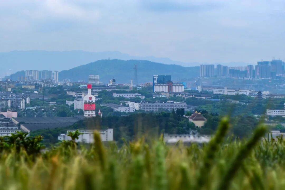 从“长江第一城”到“海丝起点”，要经过多少浪潮？